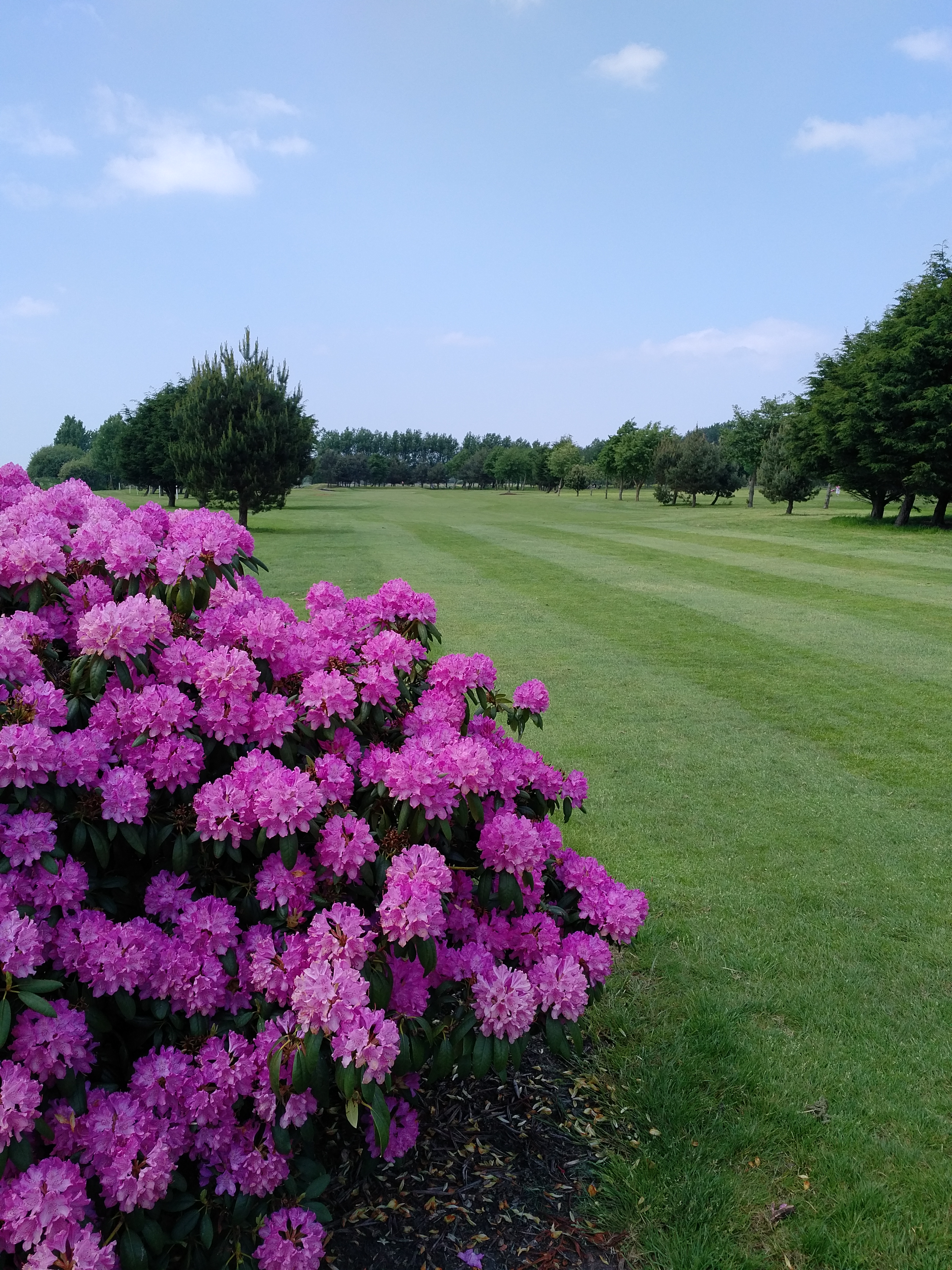 Southport Golf Academy