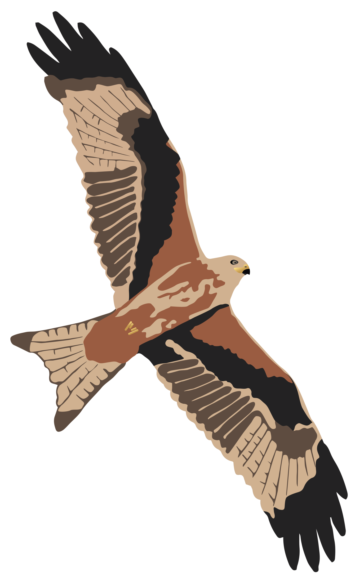 Ben O’Dell- Huntercombe Golf Club - PGA Professional Ben O’Dell