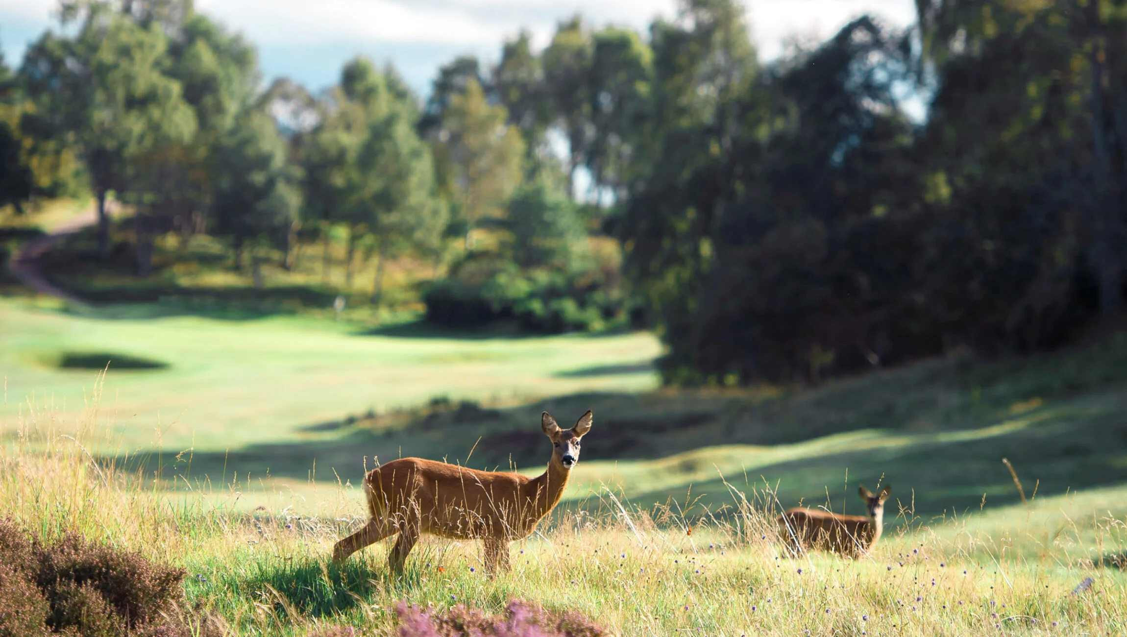 Boat of Garten Golf & Tennis Club