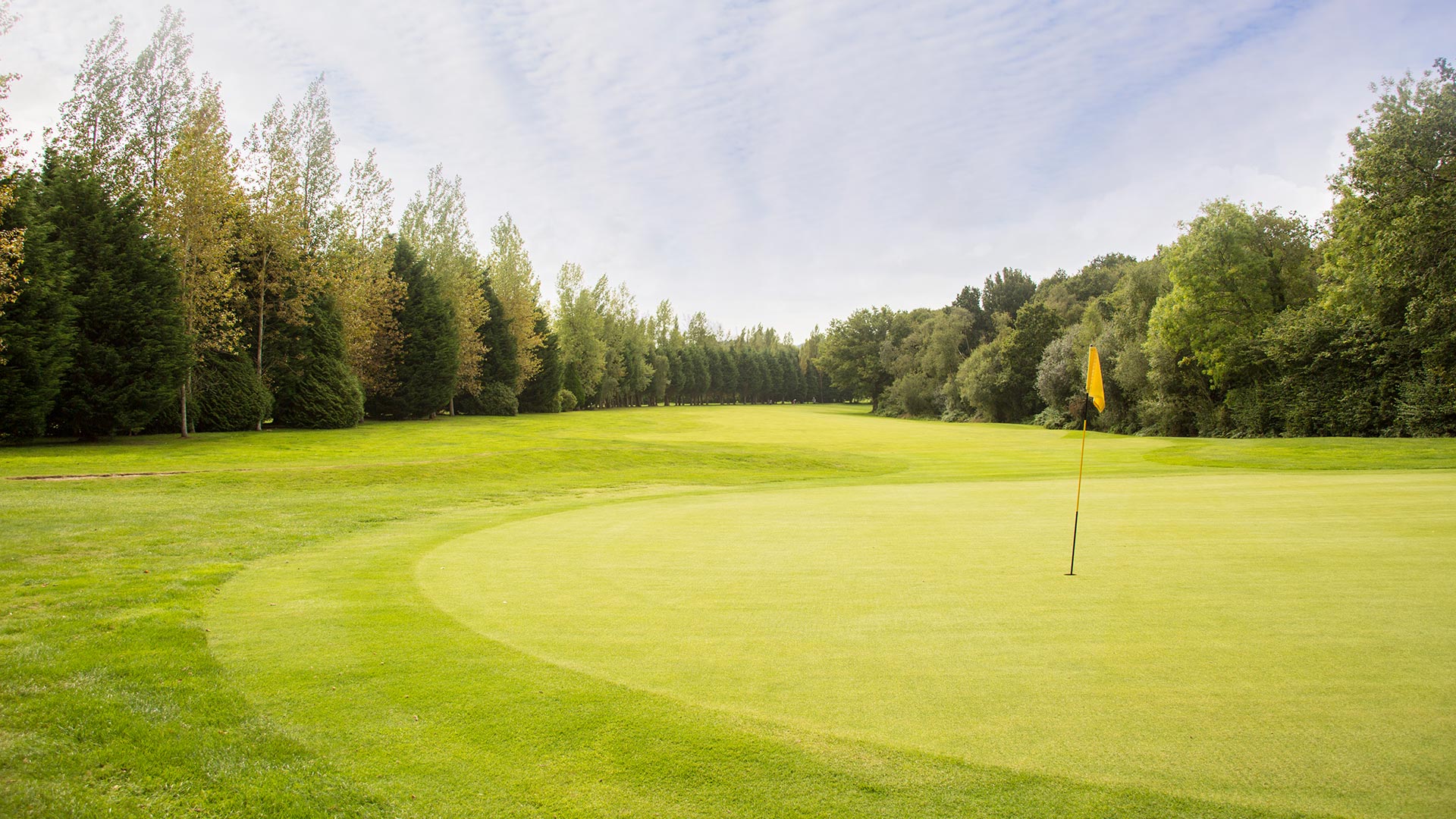 Bulbury Woods- PGA Professional Colin Murray