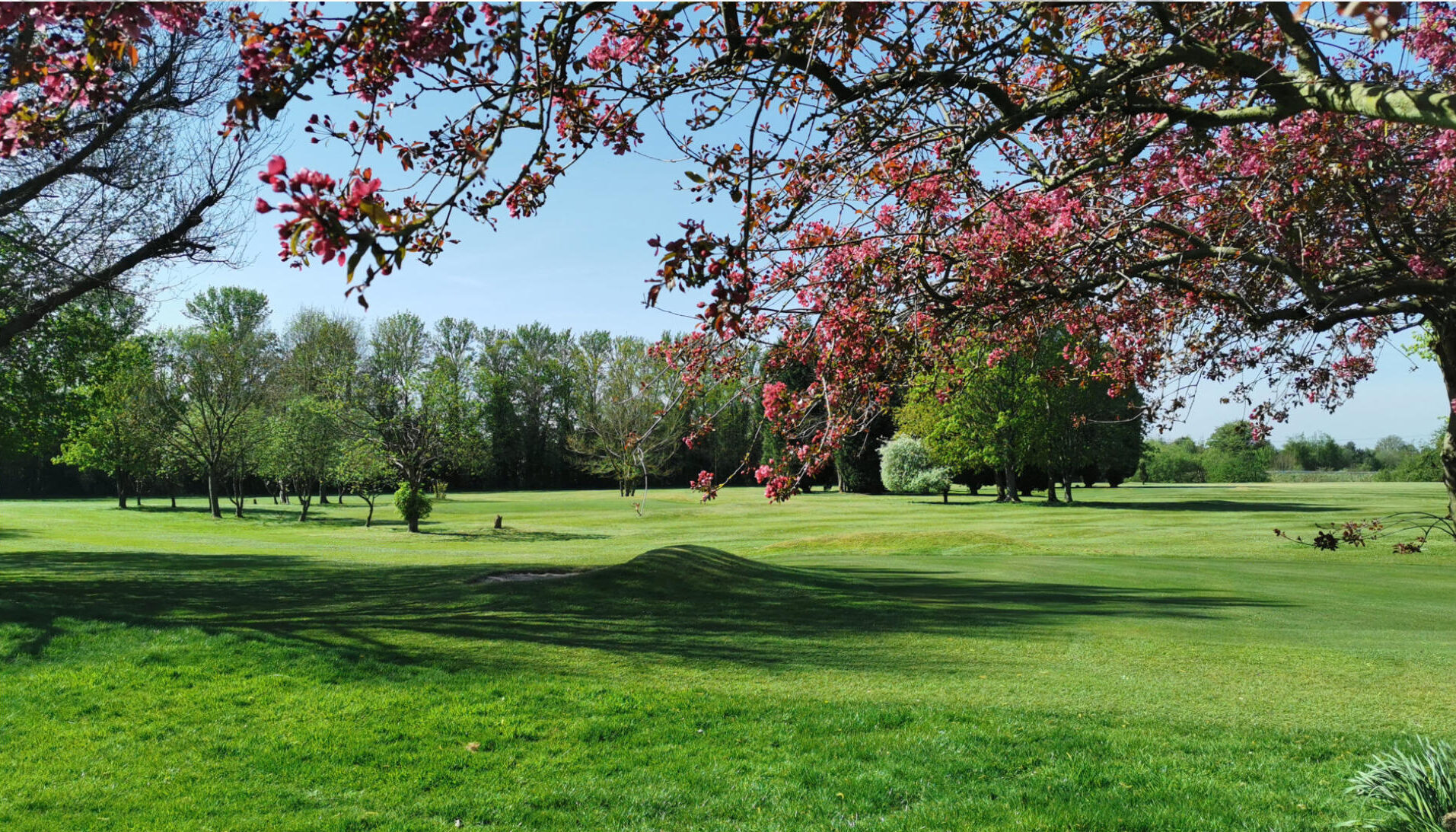 Greenfield Golf Club