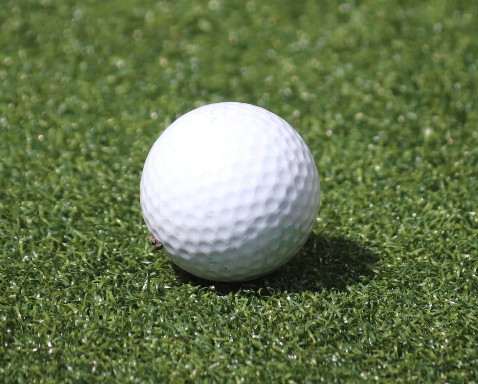 Happygolfer - PGA Professional Matthew Coulson