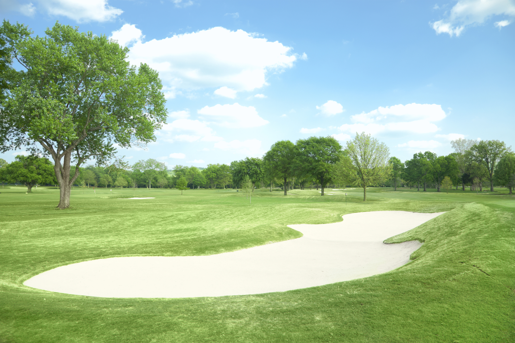 Matt Stock PGA Professional - PGA Professional Matt Stock