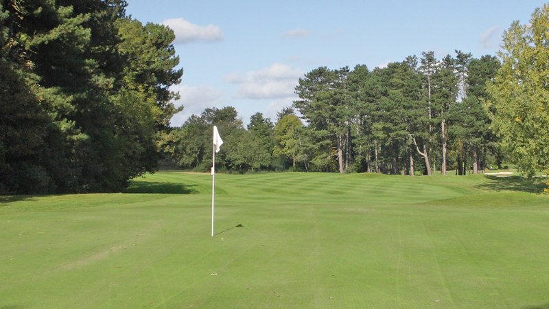 PGA Coach MWL Golf LTD - PGA Professional Mark Lawrie