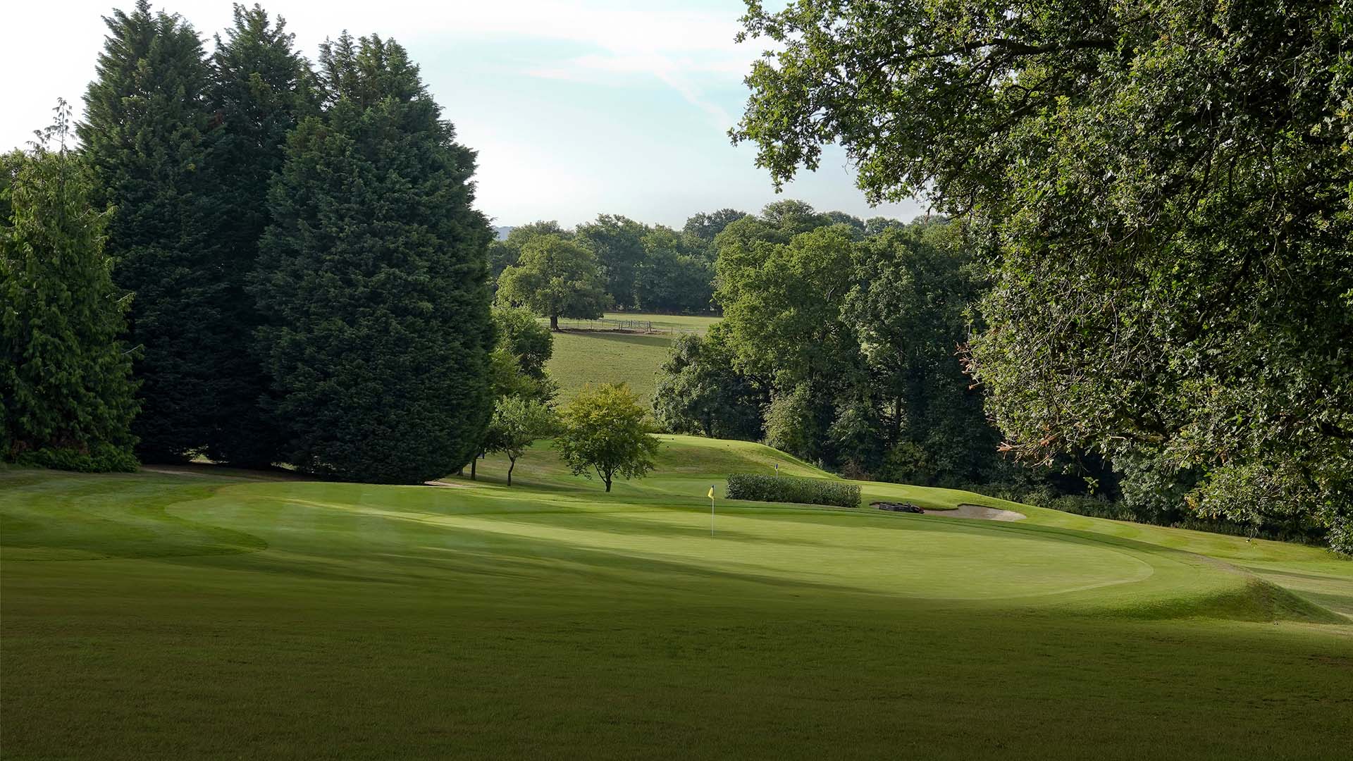 Surbiton Golf Club- PGA Professional Peter Roberts