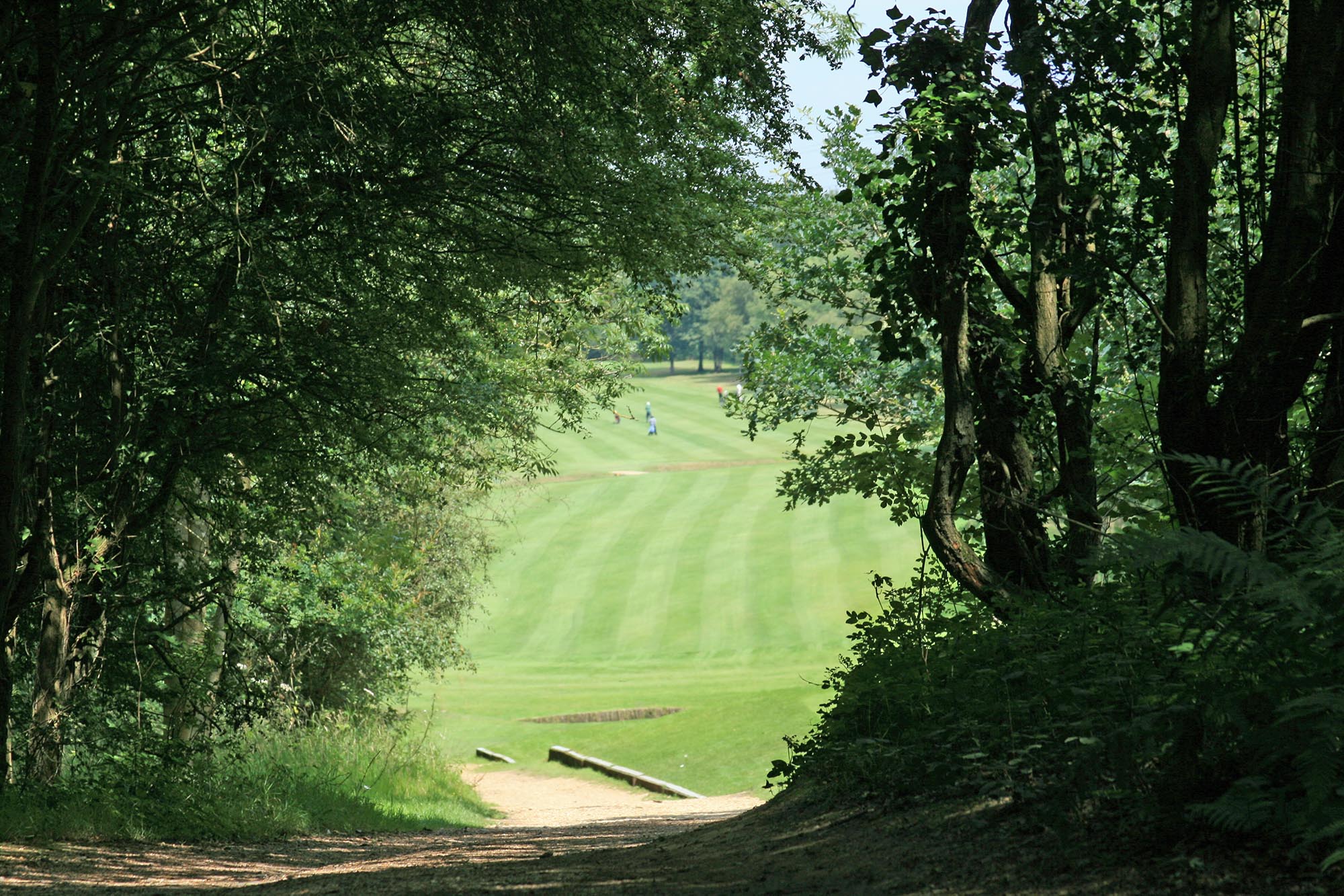 Waterlooville Golf Club- PGA Professional James Crawford