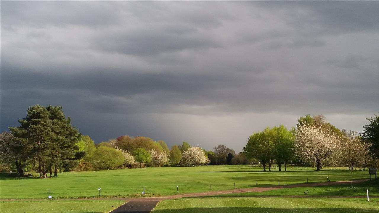 Newton Green Golf Club- PGA Professional Tim Cooper